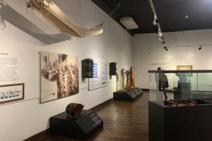 Museo Marítimo Nacional presenta nueva exposición