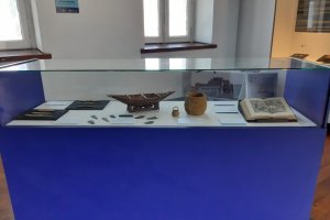Museo Marítimo Nacional conmemora el 213° aniversario del natalicio de Darwin