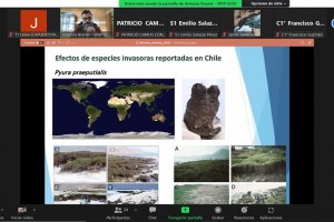 Capitanía de Puerto de Talcahuano organizó seminario sobre especies exóticas invasoras