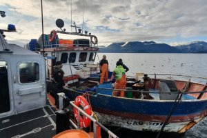 Autoridad Marítima detectó pesca ilegal de cuatro embarcaciones provenientes de la Región de Los Lagos