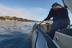 Armada incautó embarcación y elementos de pesca instalados sin autorización