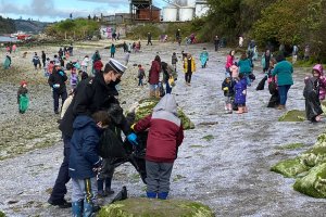  350 personas participaron del Día Internacional de Limpieza de Playas en Dalcahue 