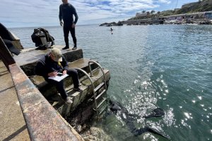 Gobernación Marítima de Valparaíso apoya tercer período de examinaciones de Buzo Mariscador Básico