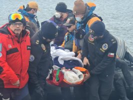 Armada apoyó evacuación médica de pasajera a bordo de crucero en Territorio Chileno Antártico Armada apoyó evacuación médica de pasajera a bordo de crucero en Territorio Chileno Antártico