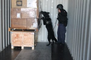 Autoridad Marítima de Punta Arenas controló proceso de desconsolidado de carga peligrosa junto a binomio canino Autoridad Marítima de Punta Arenas controló proceso de desconsolidado de carga peligrosa junto a binomio canino
