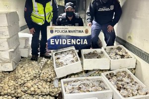 En patrullaje conjunto incautan 165 kilos de recurso "loco" en Chacao