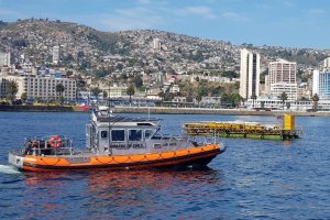 Amplio despliegue por mar y tierra de la Policía Marítima durante fiesta de año nuevo en el mar