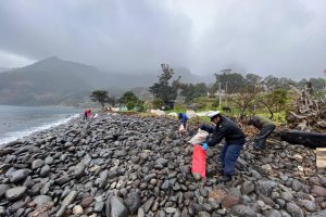 Realizan limpieza de Playa en el Borde Costero de Bahía Cumberland Realizan limpieza de Playa en el Borde Costero de Bahía Cumberland
