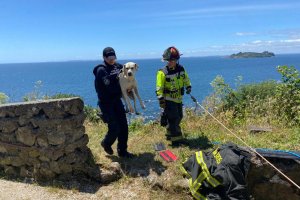 Policía Marítima rescató a un canino que se encontraba atrapado en acantilado en playa Arena Gruesa