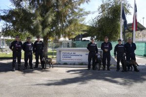 Nuevos binomios caninos de la Armada finalizaron curso con Aduanas para reforzar seguridad en el litoral Nuevos binomios caninos de la Armada finalizaron curso con Aduanas para reforzar seguridad en el litoral