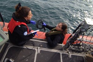 Gobernación Marítima de Valparaíso realizó monitoreo ambiental en la bahía Gobernación Marítima de Valparaíso realizó monitoreo ambiental en la bahía