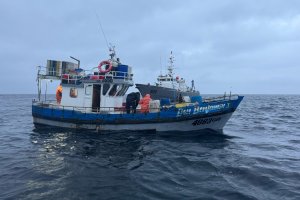 Autoridad Marítima detecta 600 kilos de merluza austral en infracción a la normativa vigente Autoridad Marítima detecta 600 kilos de merluza austral en infracción a la normativa vigente