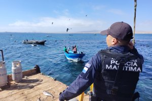 Capitanía de Puerto de Caldera incauta siete toneladas de recurso en veda Capitanía de Puerto de Caldera incauta siete toneladas de recurso en veda