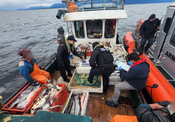 Armada y Sernapesca detectan siete embarcaciones operando de forma ilegal en el Golfo de Ancud