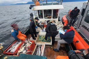 Armada y Sernapesca detectan siete embarcaciones operando de forma ilegal en el Golfo de Ancud