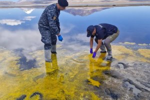 Gobernación Marítima de Arica apoyó tareas de contención ante emergencia ambiental en el Lago Chungará