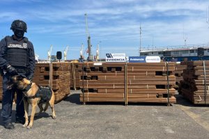 Operativo interinstitucional permite incautación de clorhidrato de cocaína impregnada en madera en el Puerto de Arica