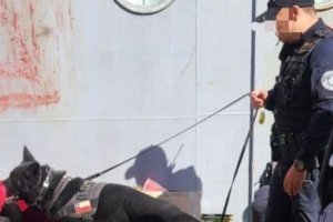 Autoridad Marítima de Punta Arenas realizó incautación de drogas a bordo de un ferry