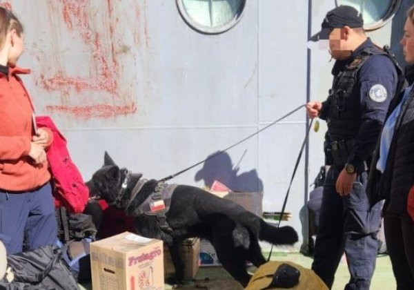 Autoridad Marítima de Punta Arenas realizó incautación de drogas a bordo de un ferry
