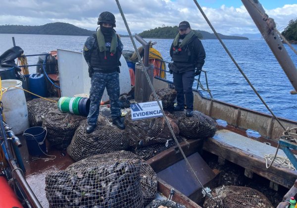 Armada y Sernapesca incautan más de 2 toneladas de recursos del mar sin acreditación de origen
